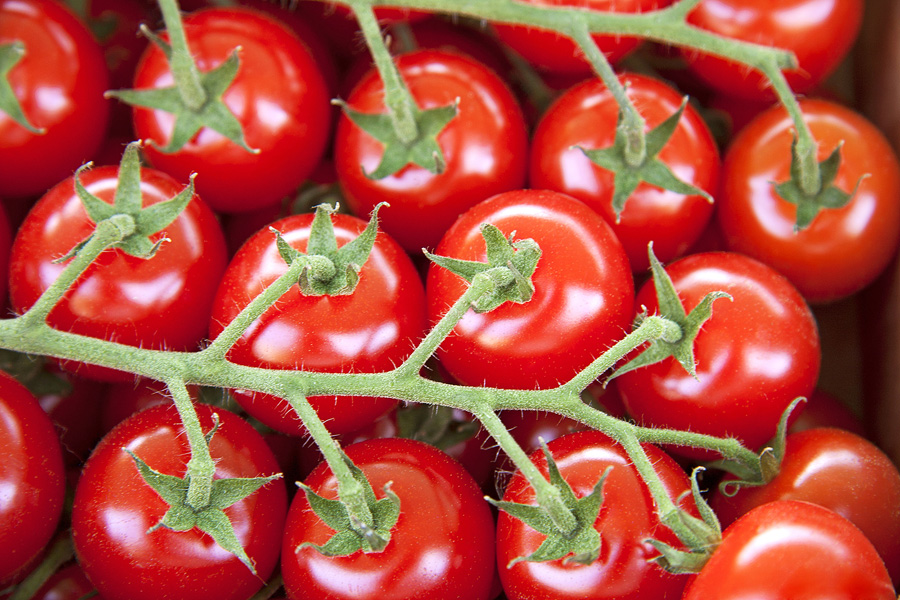 Tomate 2